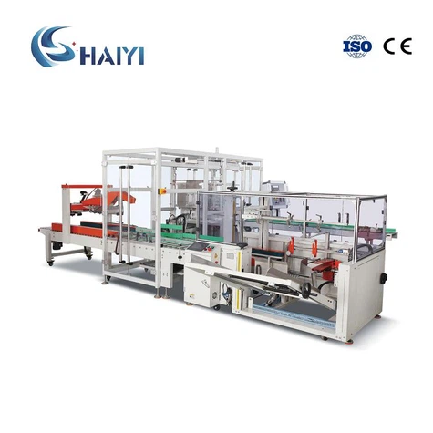 Case Packing Machine